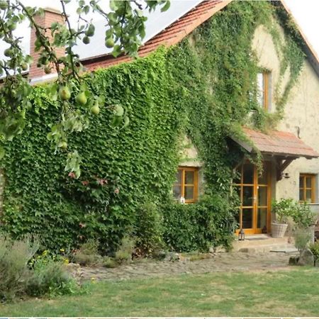 Haus Falkenhof Knüllwald エクステリア 写真